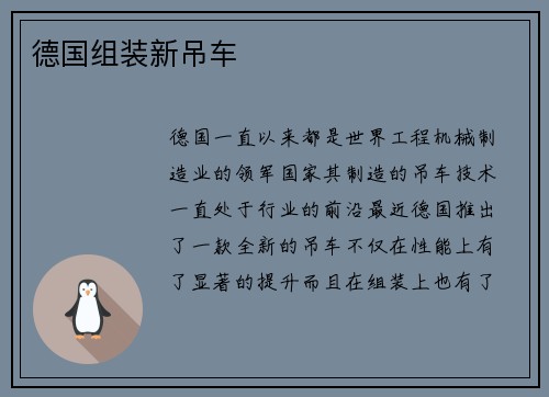 德国组装新吊车