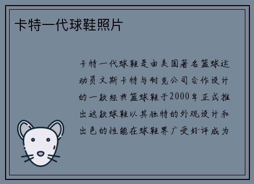 卡特一代球鞋照片